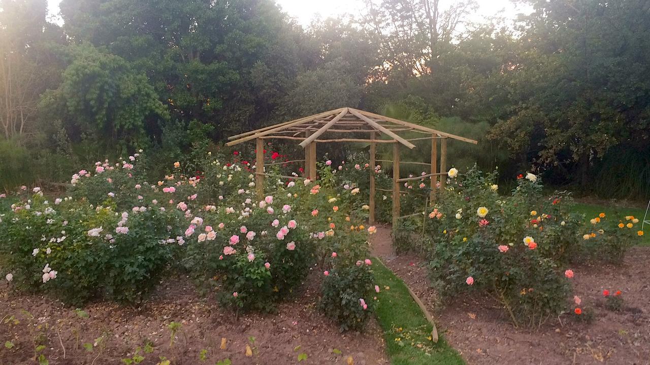 Rouana Guest Farm Otel Stellenbosch Dış mekan fotoğraf