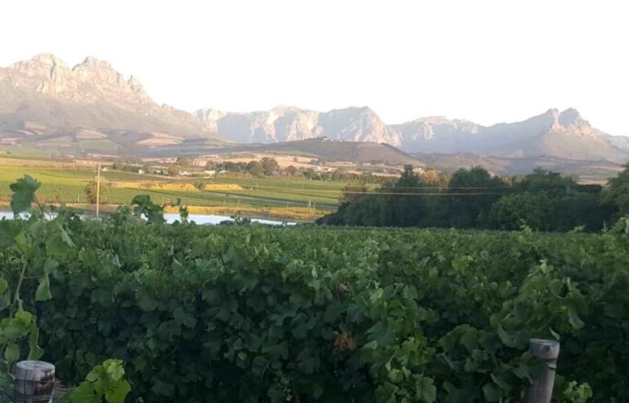 Rouana Guest Farm Otel Stellenbosch Dış mekan fotoğraf