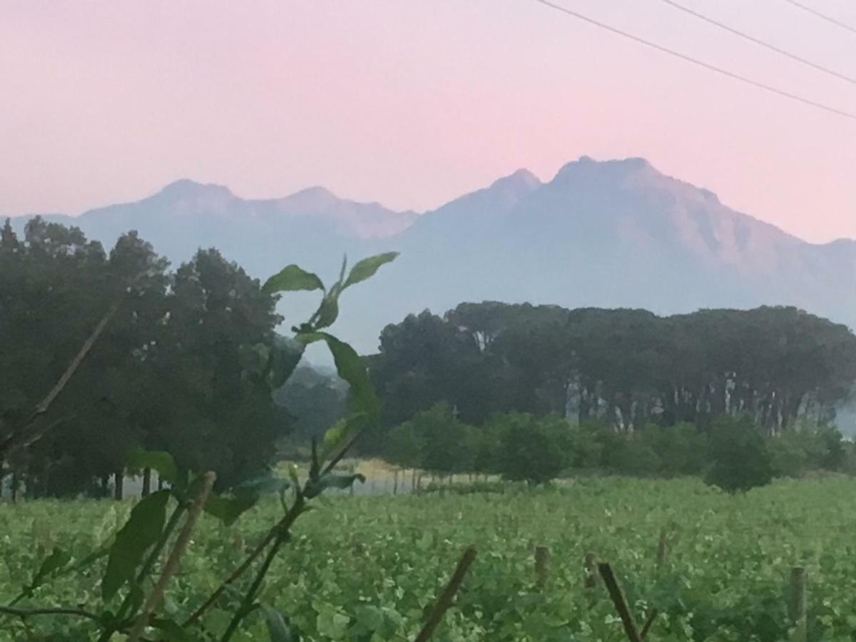 Rouana Guest Farm Otel Stellenbosch Dış mekan fotoğraf